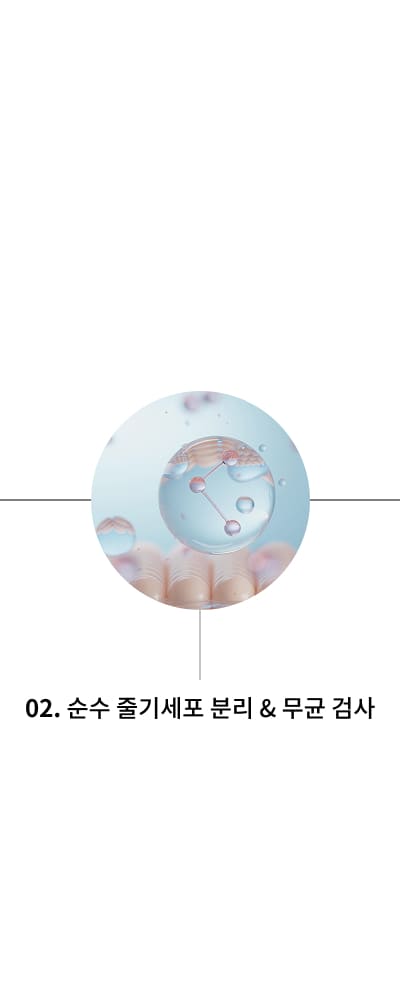 부산줄기세포-줄기세포치료과정-해운대줄기세포-줄기세포안티에이징.jpg